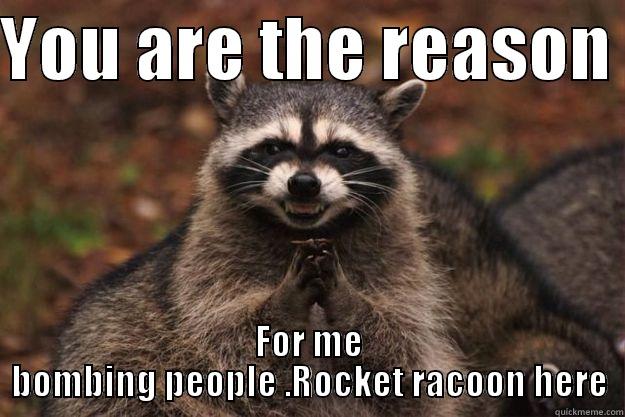 Rocket Racoon - YOU ARE THE REASON  FOR ME BOMBING PEOPLE .ROCKET RACOON HERE Evil Plotting Raccoon